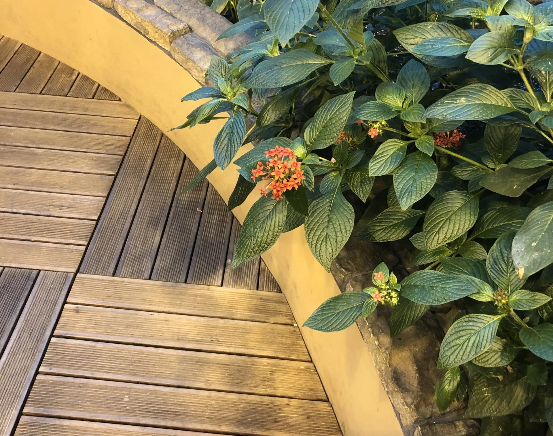 Wood roof deck installation